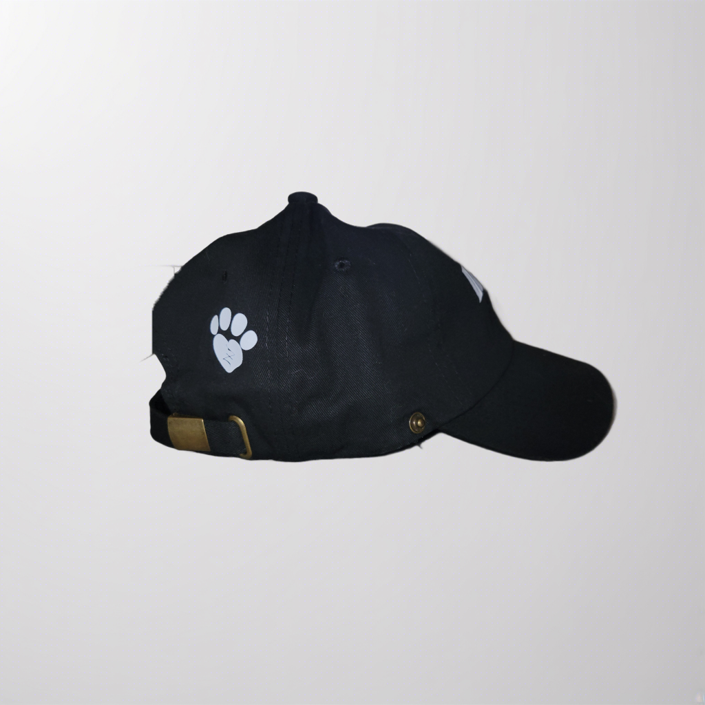 Black Cat Low Profile Baseball Hat — Zella's One Last Chance, LLC